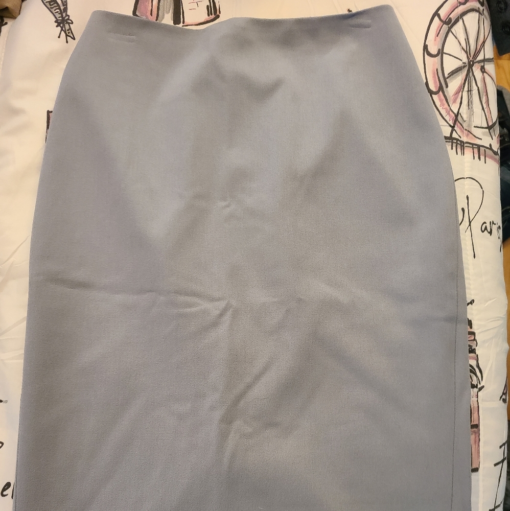Express Pencil Skirt